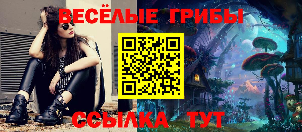 Псилоцибиновые грибы прущие грибы Ульяновск