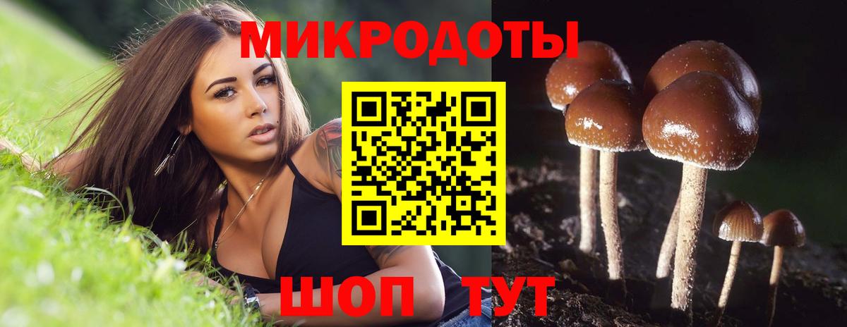 Ульяновск  Псилоцибиновые грибы Psilocybe  Вход с VPN 